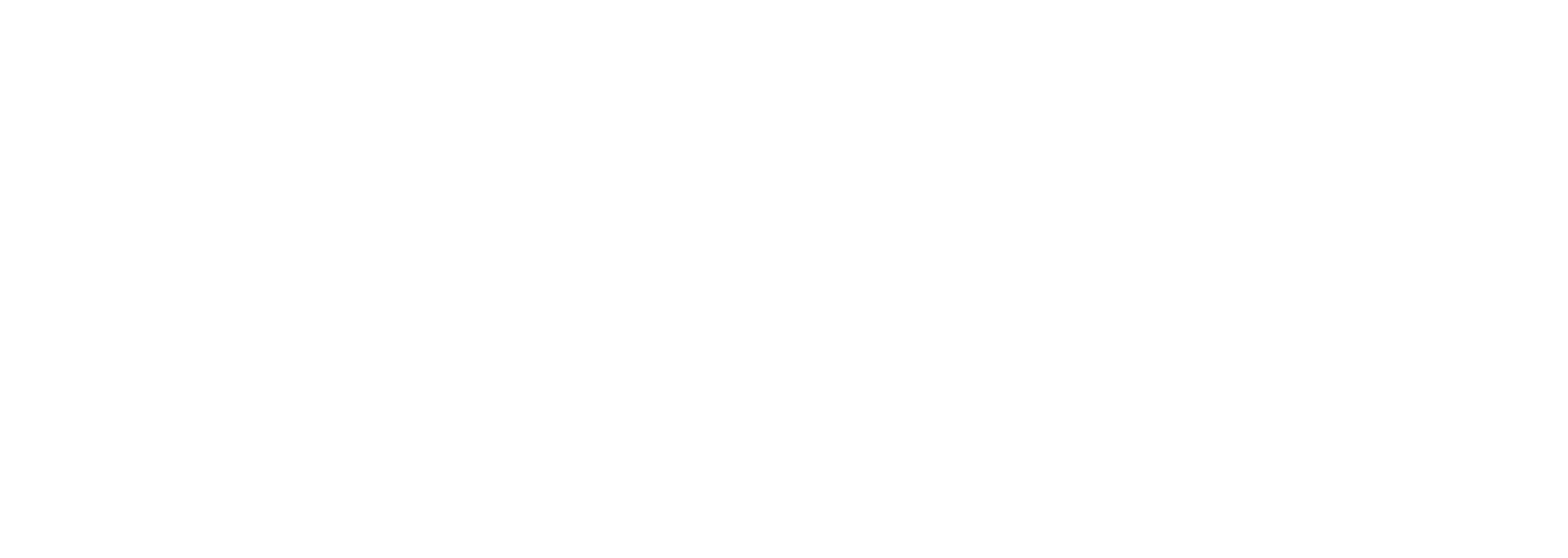 BigFish